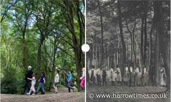 King Alfred School recreates 1911 Hampstead Heath walk