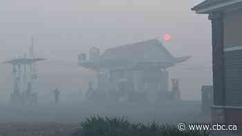 How does wildfire smoke affect long-term health? Researchers are trying to find out