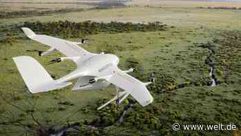 Blutproben-Allianz für Afrika