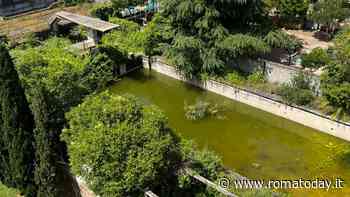 Il Municipio III vuole rigenerare l'ex Gil