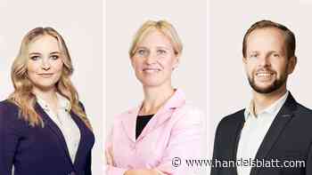 Handelsblatt-Musterdepots: Das Nachhaltigkeits-Depot: Die Rally von KI-Aktien ruft Erinnerungen an die Tech-Blase wach