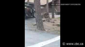 How do police get a bear out of a car? Like this