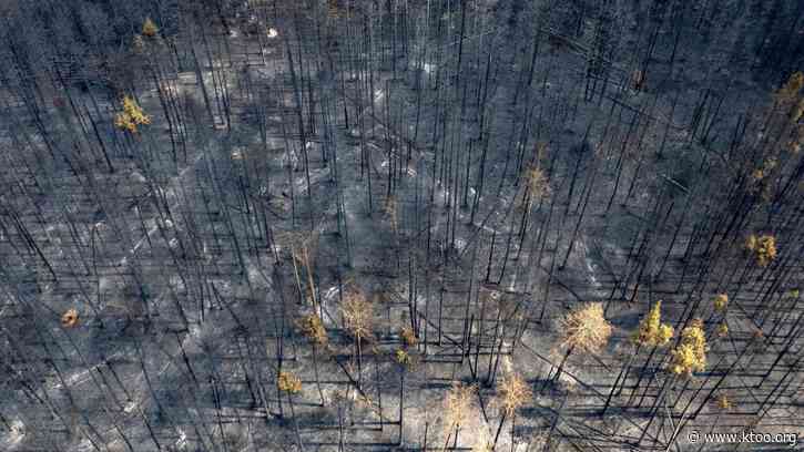 Across Canada, tens of thousands have evacuated due to wildfires in recent weeks