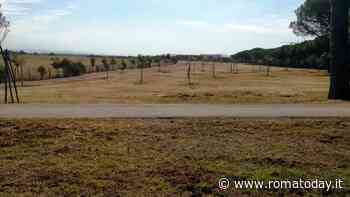 Parco di Tor Marancia, via libera del comune: entro l’estate attrezzata una nuova area