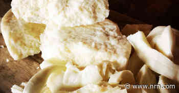 Dairy farmers pursue innovative sustainability practices