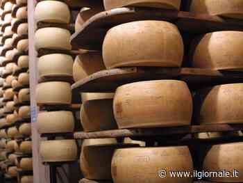 Etichettatura e prodotti tipici: le mosse del governo per tutelare il Made in Italy