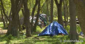 Kingston, Ont. seeks court order to remove homeless encampment at Belle Park