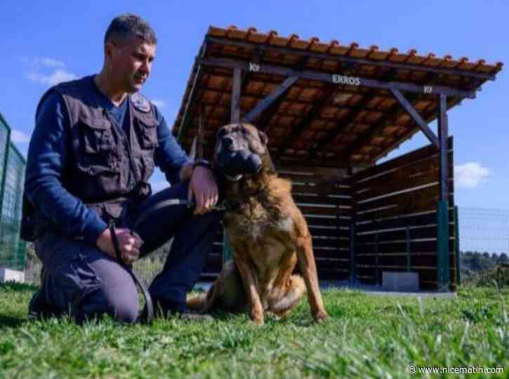 Une "maison de retraite" pour les chiens de la brigade canine: cette initiative unique en France de deux policiers marseillais a été primée