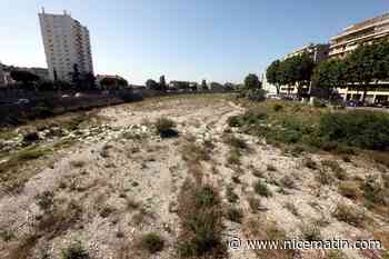 Nappes phréatiques, cours d'eau... Où en est la sécheresse dans les Alpes-Maritimes en ce 1er juin?