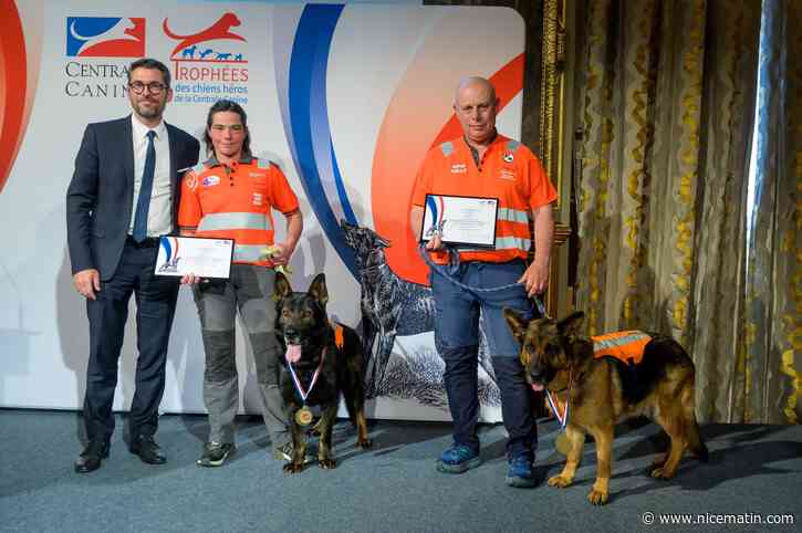 Ces deux chiens détectent les fuites d'eau potable: ils viennent de recevoir le trophée du chien héros 2023