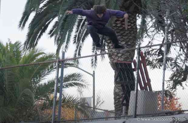 Skateworks' Skateshop "Connections" Full Length Video