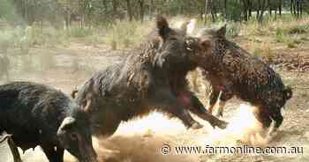 Farmers, hunters team up on biosecurity