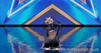 Britain's Got Talent fans divided after cartoon cat revealed as former contestant
