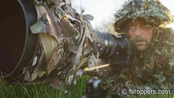 Wildlife Photography With the New Nikon Z8