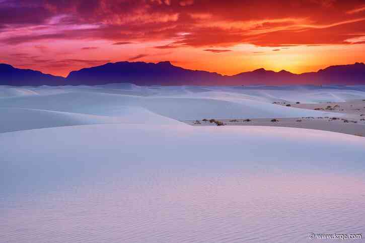 White Sands National Park hosting live snake program on May 4