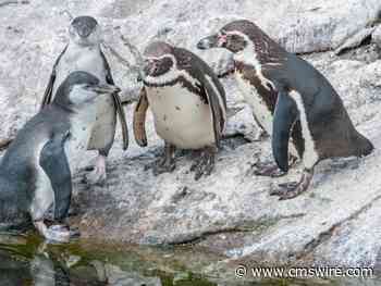 Engaging With Your Resellers: Top 5 Benefits of a Partner Advisory Board