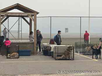 Firefighters keep wildfire out of Fort Chipewyan, some cabins and traplines lost