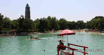 Naperville park officials say algae cause of green water at Centennial Beach