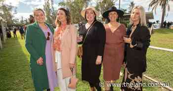 'I'm thrilled': Gunnedah Cup meeting in pictures