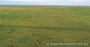 Destocked cattle property listed for $6 million