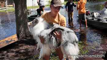 In the Event of an Evacuation, Here Are Tips For Caring for Your Pet During a Hurricane
