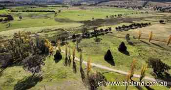 Wollun Station offers location with production | Video