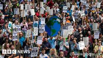 Amazon staff protest climate record and office return