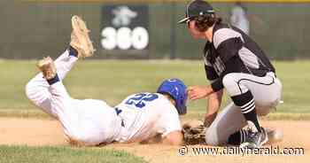 Baseball: Amptmann's home run sparks Sycamore comeback against St. Francis in sectional semis
