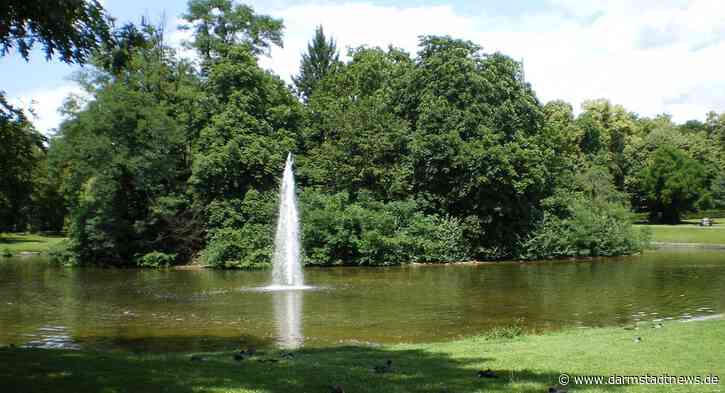Sanierung der Teichanlage im Herrngarten kurz vor dem Abschluss
