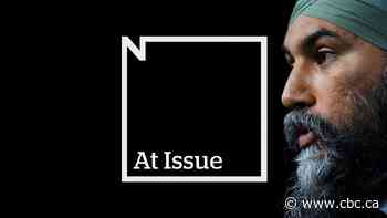 Should David Johnston step down as special rapporteur?