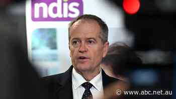 'It's wrong, immoral, profiteering': Federal government promises to make inflated prices for NDIS services illegal