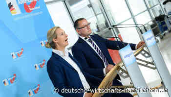 Unzufriedenheit mit der Ampel steigt: Umfrage sieht AfD gleichauf mit SPD