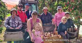 Most people can't drive past the Bunbury Farmers Market - the biggest in WA