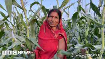 Women lead Indian families as men migrate