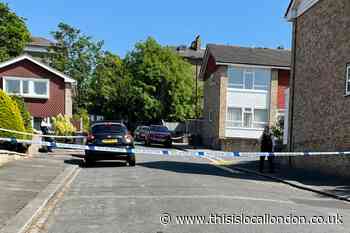Homelands Drive Crystal Palace incident: Pictures from scene
