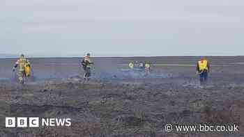 Majority of fire near Sheffield plantation extinguished
