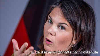 Baerbock über mögliche Putin-Verhaftung: „Kriegsverbrecher zur Verantwortung ziehen“