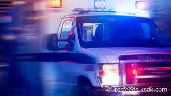 Motorcyclist dies in Edwardsville hit-and-run crash
