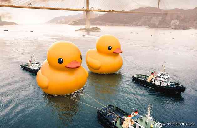 In Hongkong sind die (Gummi-)Enten los / Zwei riesige gelbe Quietsche-Enten in Hongkong gesichtet