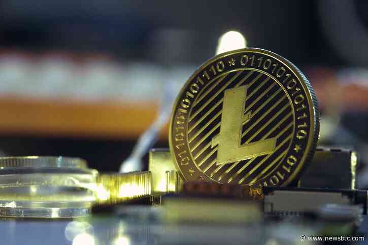 Litecoin Breaks $95 As Whale Transactions Spike