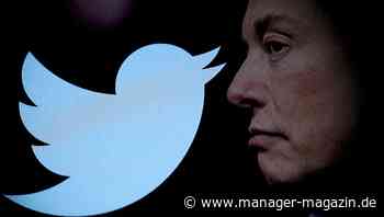 Twitters Chefin für Content-Moderation verlässt Elon Musk