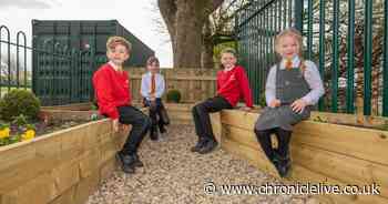 St Bede's Primary School students in Bedlington help create memorial garden for former governor