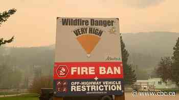 With fire bans in place, Canadian campers adapt to campfire-free season