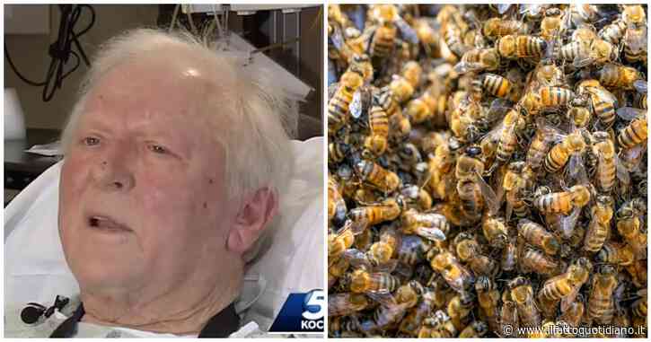 Oltre 200 api “assassine” lo attaccano per più di tre ore, 81enne è vivo per miracolo: “Mi volavano anche dentro il naso e nelle orecchie”