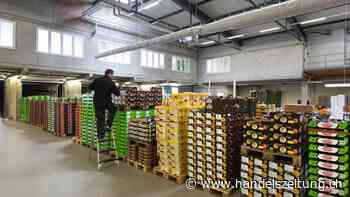 Es gibt nicht genügend gute Lager