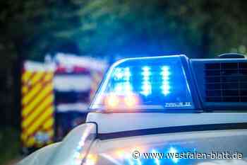 Bad Oeynhausen: Auto erfasst Mädchen (9)