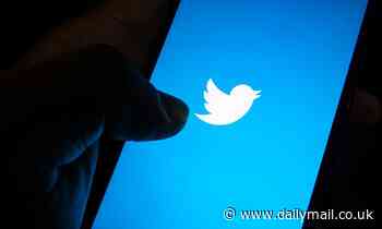 Twitter is DOWN: Thousands of US users say tweets and profiles aren't loading 