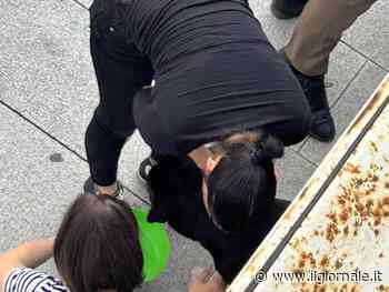 Cane legato con lo scotch sotto il sole per vendetta alla ex: l'orrore a Bergamo