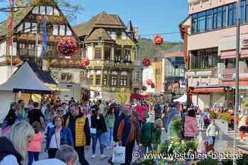 Schon 150.000 Gäste besuchen Landesgartenschau in Höxter