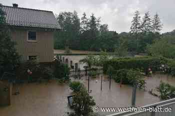 Detmold: Nach der großen Flut kam die große Hilfe